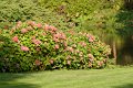 0050Arboretum Vallee aux loups